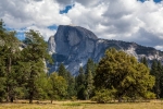 _MG_7635