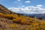 _MG_7651