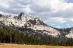 _MG_7785