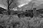 shack-1