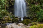 _MG_8055